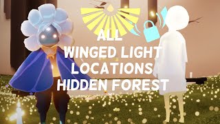 All Winged Light Locations Hidden Forest  Beginners Guide  Sky Children of the Light [upl. by Lleddaw]