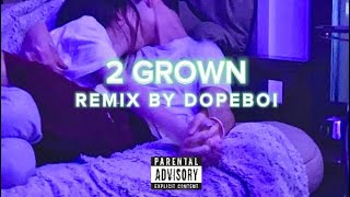 2 Grown Remix [upl. by Brownley]