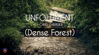 Unfoldment Revealment Evolution Exposition Integration by Chris Zabriskie Dense Forest [upl. by Nauwaj176]