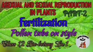 Fertilization Part2 Pollen tube through style in tamil Asexual and sexual reproduction in plants [upl. by Rieth]