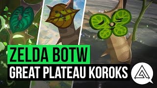 Zelda Breath of the Wild  All Korok Seeds Guide  Great Plateau Region [upl. by Teews422]