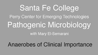 Santa Fe College Pathogenic Microbiology Anaerobes and Sepsis [upl. by Hymie886]