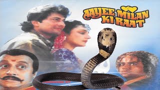 AAYEE MILAN KI RAAT 1991 Devotional Snake Movie [upl. by Ummersen]