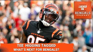 Cincinnati Bengals to Franchise Tag Tee Higgins  What Happens Next [upl. by Kwan601]