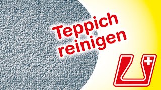 Teppich selber reinigen mit Waschsauger oder Sprühextraktionsgerät und vepocleaner® TeppichPolster [upl. by Zebadiah183]