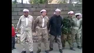 Barzani traditional dance kurdish folklore [upl. by Akirdnahs584]