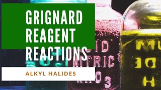 Grignard reagent reactions class 12 super easy way [upl. by Wayolle652]