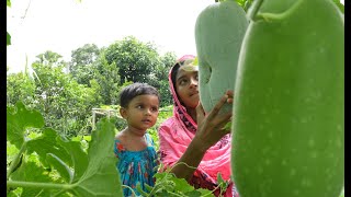 পাকা চালকুমড়ার সেমাই সেই স্বাদ  Village life with Shampa [upl. by Robbyn998]