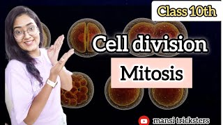 class10 science  cell division mitosis  easy concepts [upl. by Cirdet]