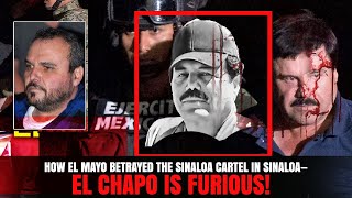 How El Mayo Betrayed the Sinaloa Cartel in Sinaloa—El Chapo is FURIOUS [upl. by Eiramllij]