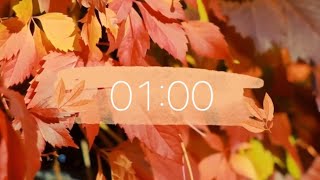 One minute fall leaves 🍂 timer  including wind and bird noise in the background [upl. by Ahsikrats]