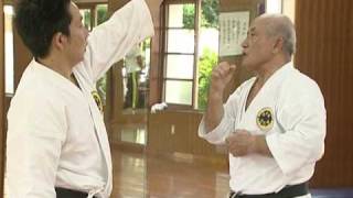 Shorinryu Seibukan History of karate Part 2 33 [upl. by Darelle907]