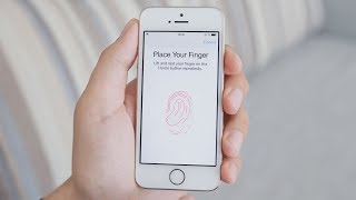 How Does Fingerprint Scanning Work [upl. by Aleunam]