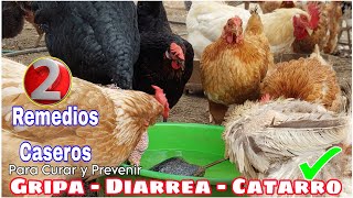 ❗️ Poderosos REMEDIOS para CURAR y PREVENIR la DIARREA GRIPA y CATARROen tus GALLINAS✅️ [upl. by Muscolo]