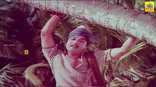 கொடுத்ததெல்லாம் கொடுத்தான்videosong  Padagotti  M G RamachandranViswanathan–Ramamoorthy hd [upl. by Stempien598]