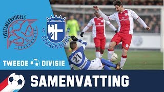 Samenvatting IJsselmeervogels  Spakenburg 19 januari 2019 [upl. by Sissy311]