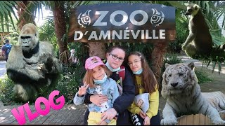 VLOG  Une journée au zoo dAmnéville [upl. by Elnar713]