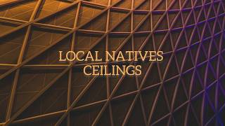 ceilings  local natives  lyrics [upl. by Leciram]