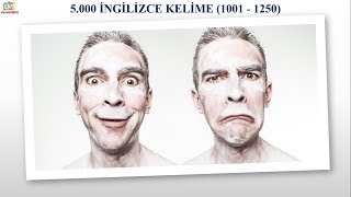 5000 İNGİLİZCE KELİME  RESİMLİ VE SESLİ  1001  1250 [upl. by Obadiah]