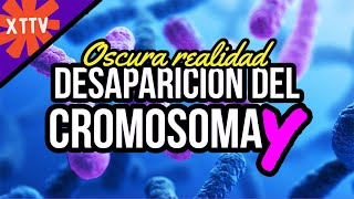 La Misteriosa Desaparición del Cromosoma Y [upl. by Adnaval]