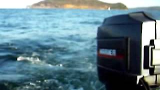 OUTBOARD 75 HP MARINER TEST RUN ON BOAT [upl. by Hareehat]