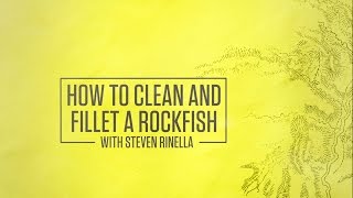 How To Clean and Fillet a Rockfish with Steven Rinella [upl. by Asamot209]