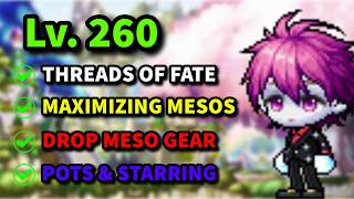 Top 10 Things To Do Before 260 In Maplestory [upl. by Neersan]