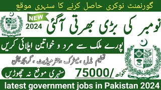 Latest government November jobs 2024 ۔ New jobs 2024 in pakistan۔Latest jobs in Pakistan 2024 today [upl. by Aikem701]