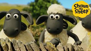 Shaun the Sheep 🐑 Panic at the farm  Cartoons for Kids 🐑 Full Episodes Compilation 1 hour [upl. by Fraze]