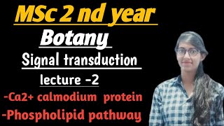 MSc 2 nd year  Calcium calmodium complex Phospholipid pathway [upl. by Ekralc]