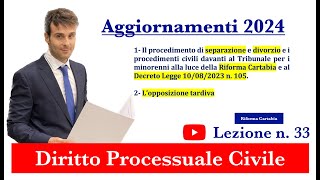 Procedura civile lezione n33 Aggiornamenti 2024 [upl. by Borszcz103]