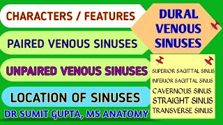 DURAL VENOUS SINUSES  Features  Interconnections Location  Classification [upl. by Magdalen]