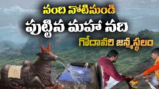 నంది నోటి నుండి బయటకొస్తున్న గోదావరి నది జన్మస్థలం  Godavari Birth Place Nasik [upl. by Llebasi430]