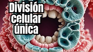 Algunas bacterias de la boca se dividen de forma sorprendente [upl. by Cressida840]