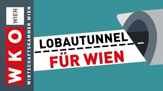 Wien braucht den Lobautunnel [upl. by Laeynad243]