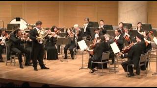 Radek Baborák · WA Mozart  Horn Concerto No 4 · IAllegro moderato [upl. by Aneles120]