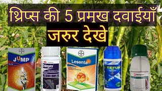 top 5 thrips ki dawai  thrips ko kaise control kare  bayer jump regent lesenta pi keefun delegate [upl. by Auqinahs]