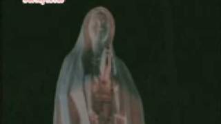 MiracleThe Virgin Mary Statue Comes Alive [upl. by Dnaltroc203]