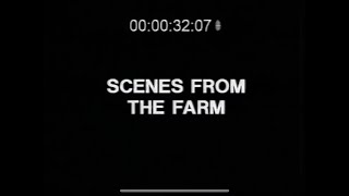 Scenes from the farm  Broadwater Farm Estate Tottenham London UK  1985 [upl. by Einahpehs]