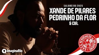 Salgueiro 2025 Samba Campeão Xande de Pilares Pedrinho da Flor amp Cia [upl. by Nwahsid218]