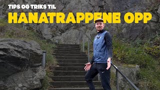 Hanatrappene Opp – Tips og triks til Norges bratteste trappeløp [upl. by Annavoig]