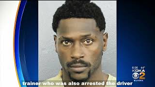 Antonio Brown Released After Assault Allegations – Faces Serious Charges [upl. by Niahs524]