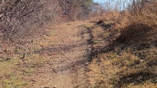 Cyclist Tests Gravel Bike On Tougher Terrain [upl. by Schou445]