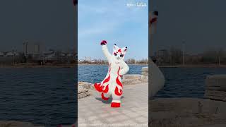 【Fursuit Dance】 Limi 狸米Cm  SoraMafuUraSaka RolePlaying Game [upl. by Walburga700]