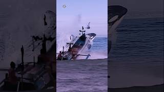 The moment a fishing boat was hit by a dolphin while hunting orcas 🐬🦭🚤🛥️ giantcreature [upl. by Baker715]