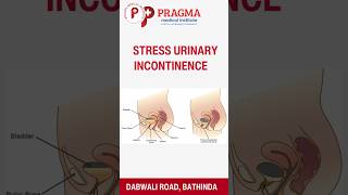 Types of urinary problems [upl. by Ardnuahs577]