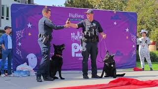 Sunnyvale DPS K9 Unit  Annual Sunnyvale Halloween Pet Parade 2024 [upl. by Znerol]