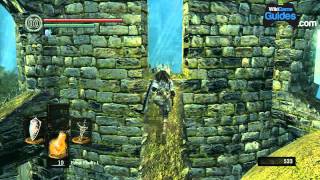 Dark Souls Walkthrough  How to Go Back to the Undead Asylum Part 019  WikiGameGuides [upl. by Assira]