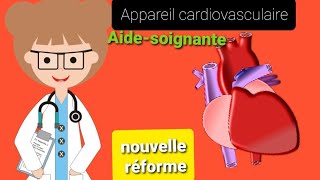 🔴 APPAREIL cardiovasculaire  cours Aidesoignante nouvelle réforme [upl. by Oirottiv]