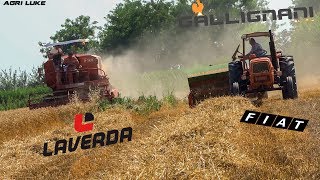 Laverda M120  Gallignani 7100  OM615 Old Threshing and Baling  Trebbiatura e Pressatura DEpoca [upl. by Ano]